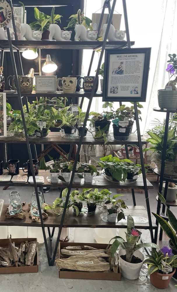 Black metal shelving unit filled with small plants and succulents.