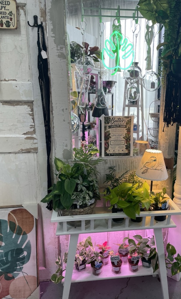 Cozy corner with a white table, potted plants, hanging greenery, and soft display lighting underneath.