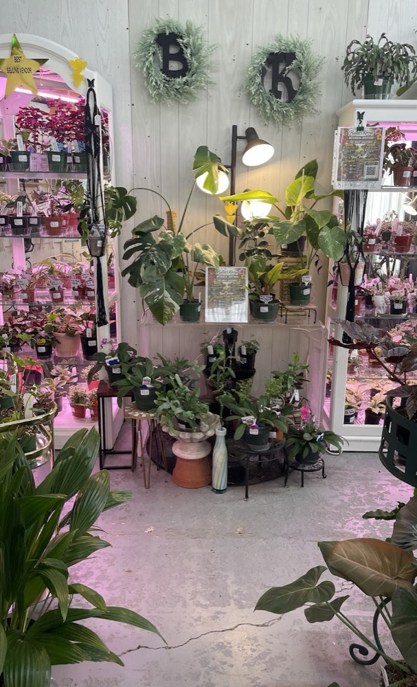 Boutique aisle with plants on shelves, decorative B and K wreaths, and a table with a fountain running underneath.
