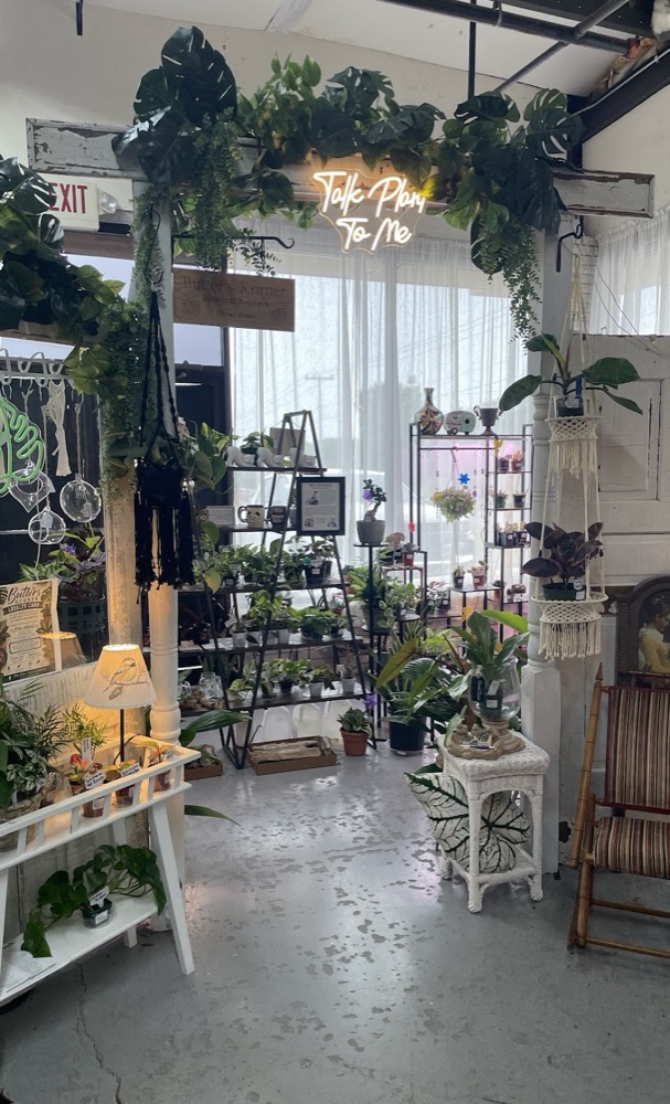 Bright window area with sheer curtains, plants on the sill, and a neon sign above.